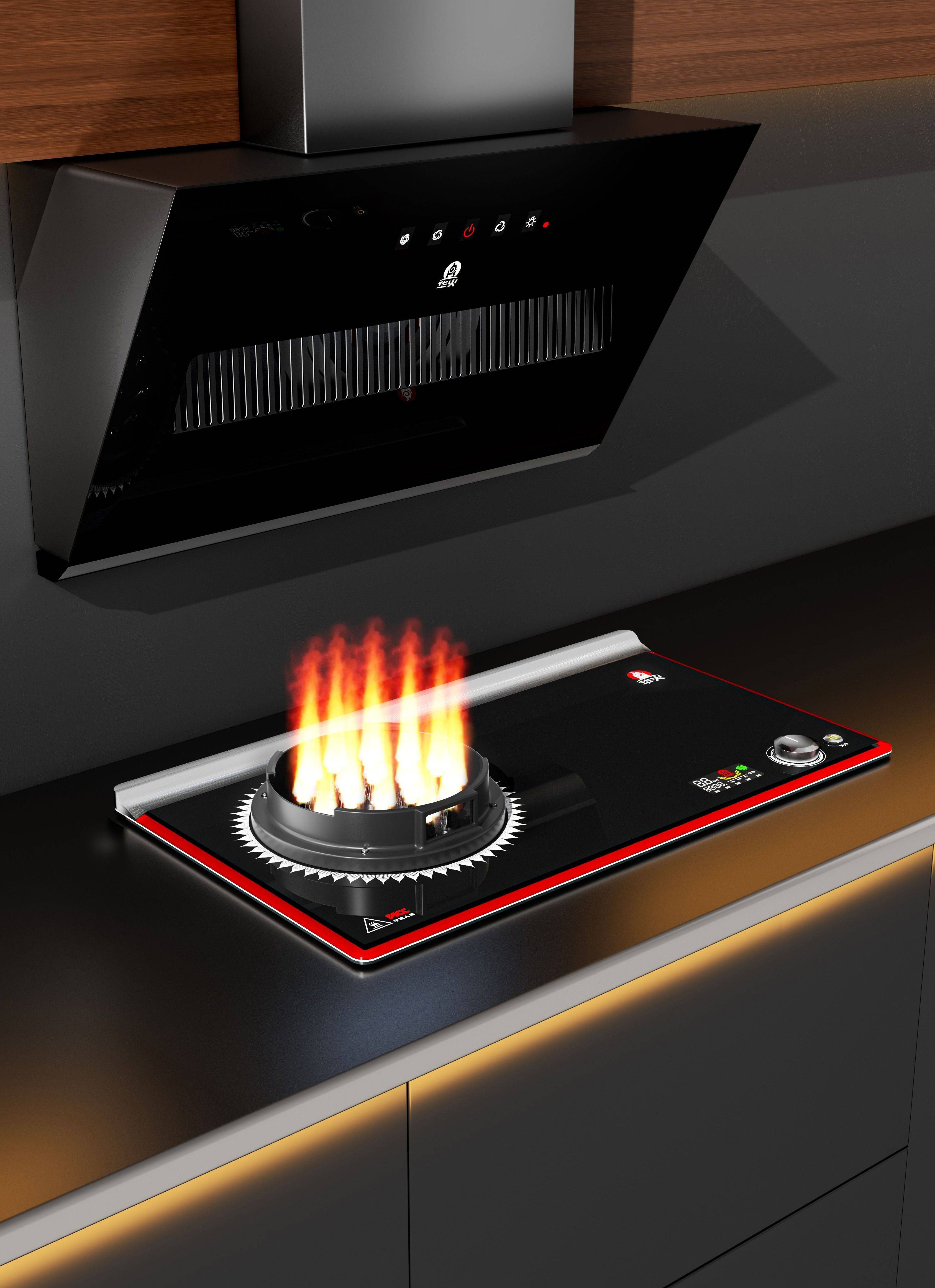 探索国爱新能源电火灶 款式选择与节能科技优势分析