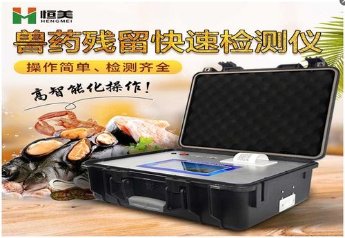 食品工业新引擎 以炉灶节能科技创新驱动高质量发展